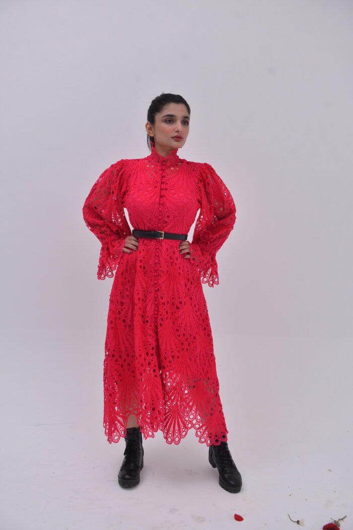 Niazmeena Red Dress9